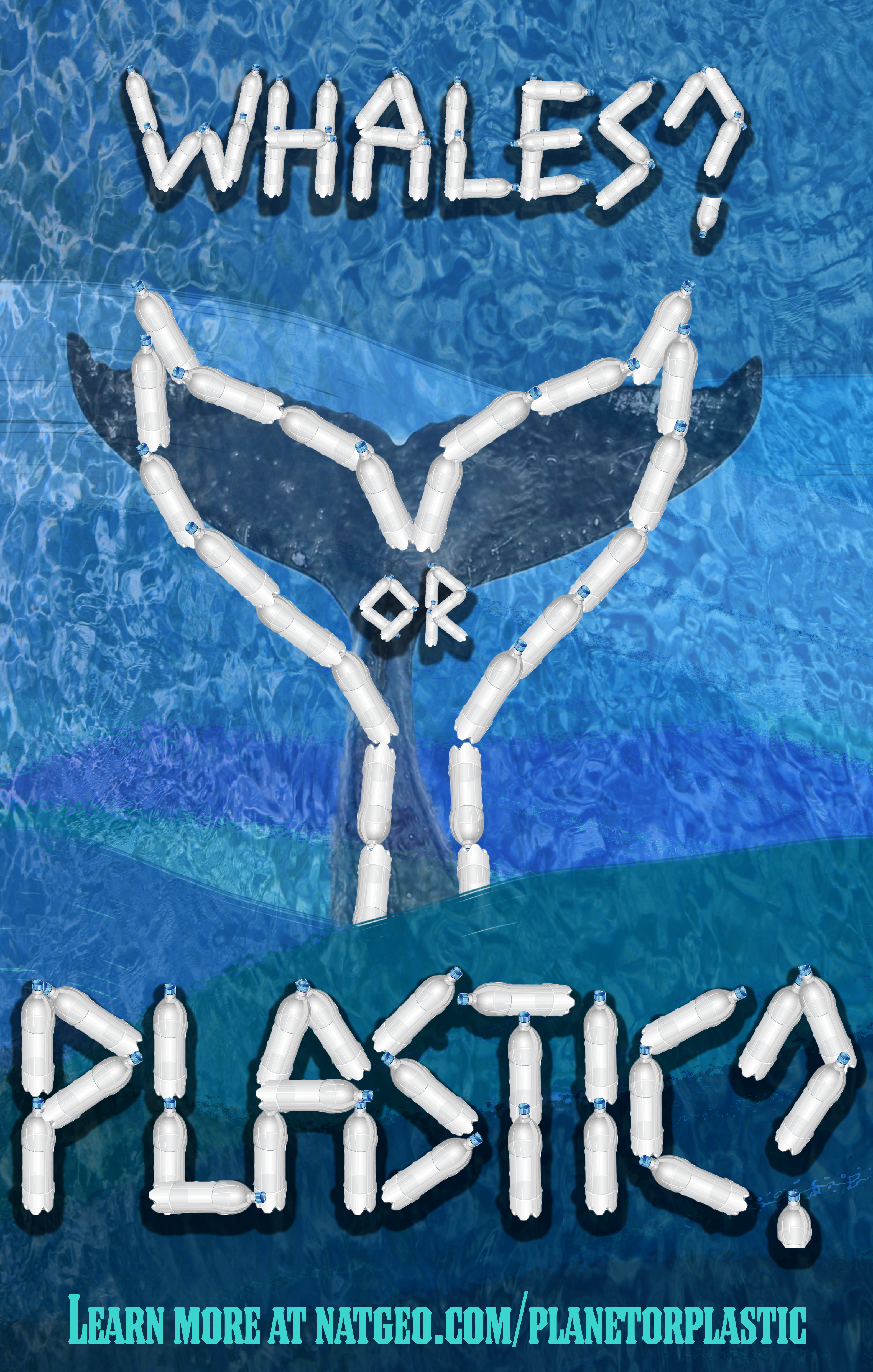 Whales? or Plastic?